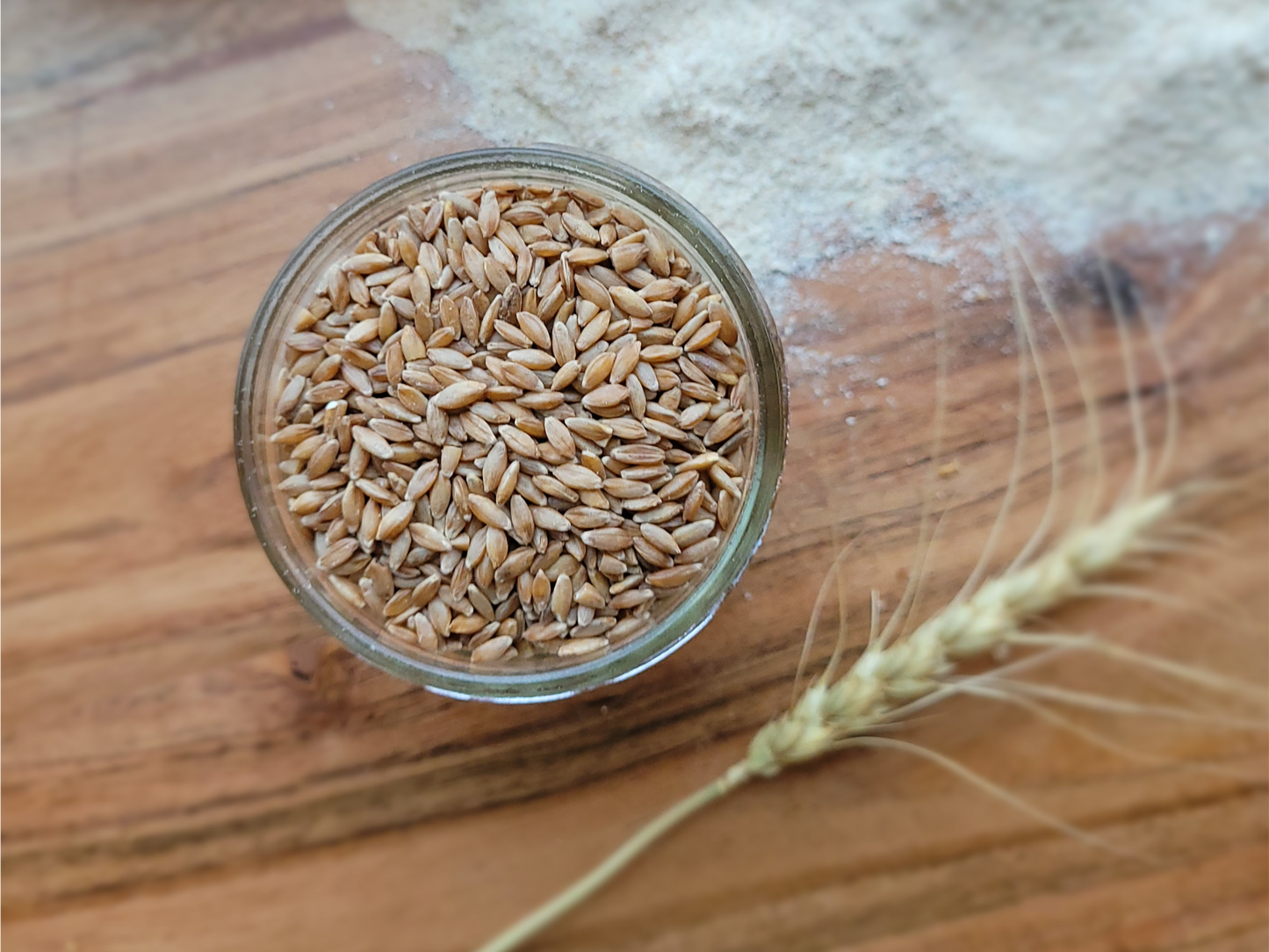 Hard Red Spring Wheat Berries