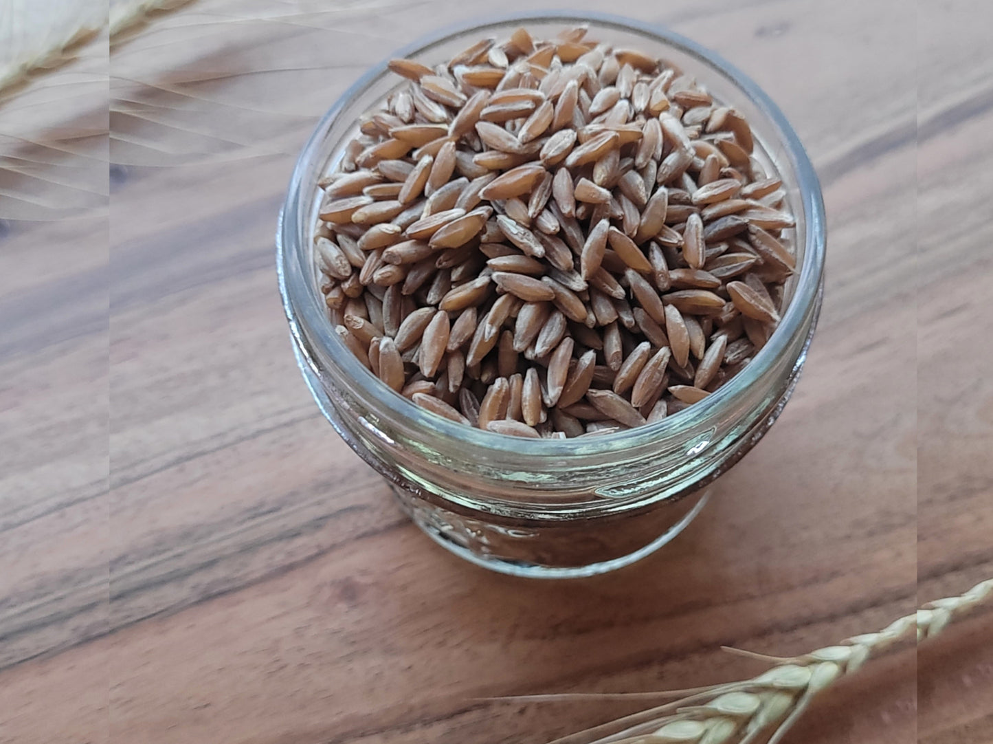 Emmer Wheat Berries
