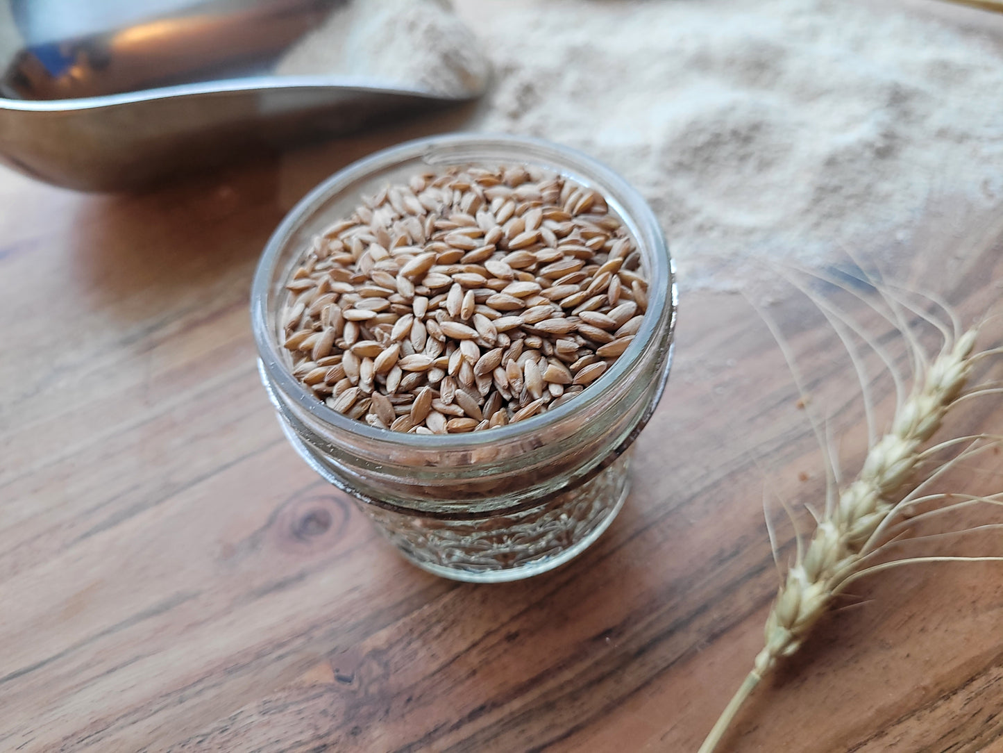 Ancient Grains