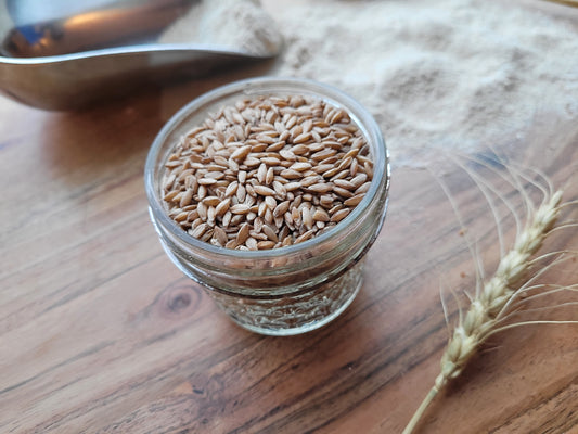 Ancient Grains